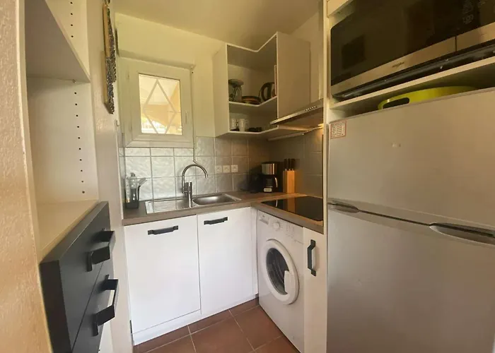 Apartamento Sainte-maxime: 3p Climatise Avec Piscine, Parking Prive Et Jardin Calme - Fr-1-226-471